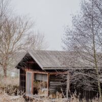 assets/images/0/18004485332490131-1d5830cc.jpg