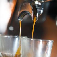assets/images/0/187-Hofgut_espresso-e877f7d9.jpg