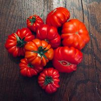 assets/images/1/Tomaten%20eigenbau-3e714649.jpg