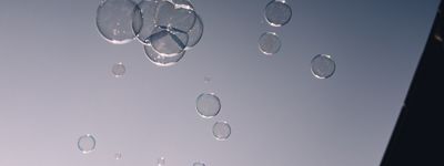 assets/images/1/_X1F8937-a1a1aa68.jpg