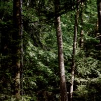assets/images/2/_1142879-0929d573.jpg
