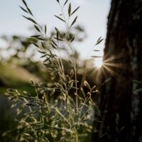 assets/images/2/_1153509-7c6fa61c.jpg