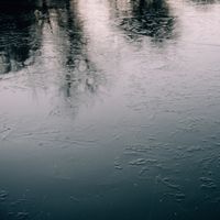 assets/images/3/_X1F7742-6d44143d.jpg