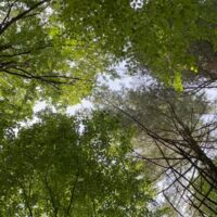 assets/images/4/18033980407563733-57785599.jpg