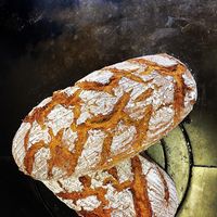 assets/images/4/Brot-eb7ef609.jpg