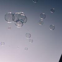 assets/images/4/_X1F8937-022d95c9.jpg
