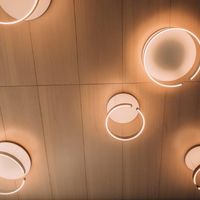 assets/images/5/_X1F1060-db6f7ee5.jpg