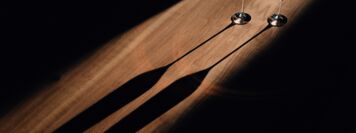 assets/images/5/_X1F8810-06f8dbc1.jpg