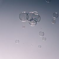 assets/images/5/_X1F8937-dbb3be3b.jpg