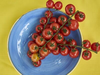 Kulinarischer Freitag