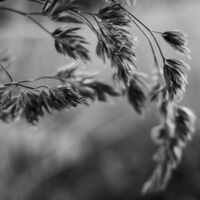 assets/images/6/_1153707-1d422a69.jpg
