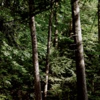 assets/images/7/_1142879-adaaf3a7.jpg