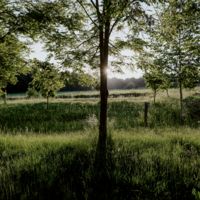 assets/images/8/_1153937-88755fa2.jpg