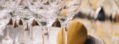 assets/images/8/_X1F6883-895c03a5.jpg