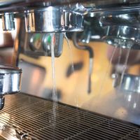 assets/images/9/Kaffee_Jau_1600_4-6eea2c8f.jpg