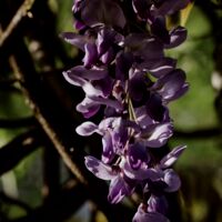 assets/images/9/_1153363-1b471f5a.jpg