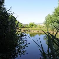 assets/images/a/1600_0091-a25bd0d4.jpg