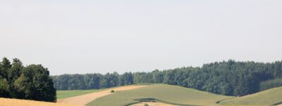 assets/images/b/Hofgut_Hafnerleiten0005-958ab393.jpg