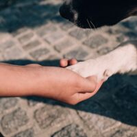 assets/images/b/_X1F8073-dbc18d1c.jpg