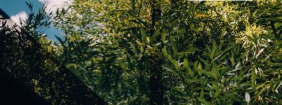 assets/images/c/Hofgut_Haus_1-0-aee55139.jpg