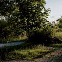 assets/images/c/_1153484-74994ced.jpg