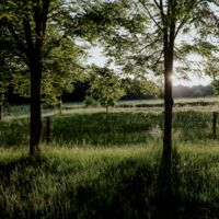 assets/images/d/_1153937-d21ce53f.jpg