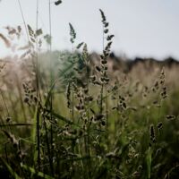 assets/images/e/_1153902-77bc92b3.jpg