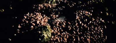 assets/images/e/_X1F8818-f0efb476.jpg
