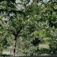 assets/images/f/17981856707169925-113726e1.jpg