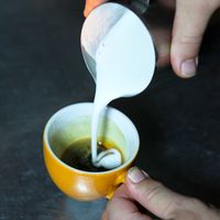 assets/images/f/Kaffee_Jau_1600_6-2a88ea7c.jpg