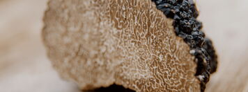 assets/images/f/Tr%C3%BCffel-821e2739.jpg