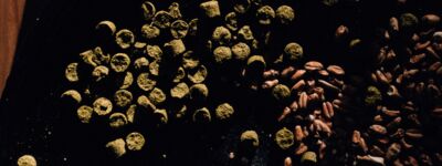 assets/images/f/_X1F8823-f71b9851.jpg