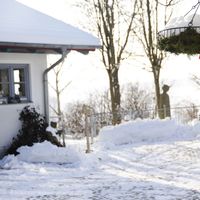 assets/images/f/hg_winter_4-753e62d5.jpg